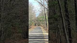 Windham rail trail nature railtrail americanflag travel newengland daytrip exploring [upl. by Abbate]