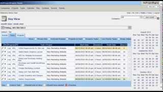 dotProject Engine Management Software Host Demo [upl. by Griz537]