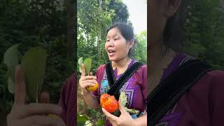 single mom with smart way to pick fruit camping survival bushcraft outdoors [upl. by Nylahs62]