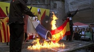 Radicales catalanes queman las banderas de España Francia y la UE [upl. by Hnaht658]