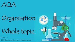 The whole of ORGANISATION AQA 91 GCSE Biology or combined science for paper 1 [upl. by Polard829]