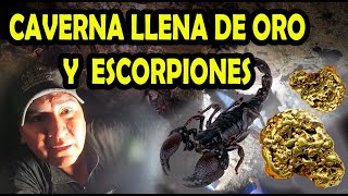 exploramos caverna llena de oro y escorpiones en peru [upl. by Fiedler]