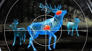 Wild HuntSport Hunting Game3D Shooting Simulator  Android Gameplay [upl. by Irpak]