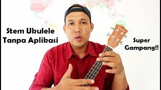 Begini Cara Stem Ukulele Manual Tanpa Aplikasi  Gampang dan Mudah [upl. by Monica]