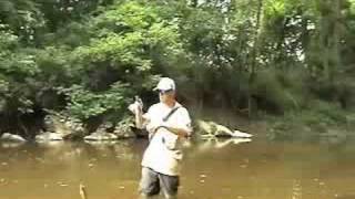 Hookset Fishing Creek fishing Delaware in July [upl. by Petulia459]