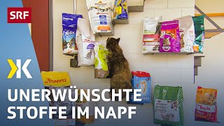 Katzenfutter im Test Gesundheitsgefährdende Stoffe im Katzennapf  2018  Kassensturz  SRF [upl. by Alrep]