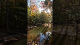 The perfect Fall scene at Catoctin Mountain Park nature hiking shorts [upl. by Ahsinut]