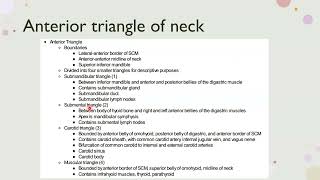 anterior triangle of Neck [upl. by Rodie113]