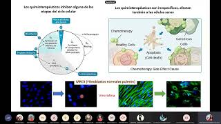 Flavonoides de Chromolaenas en prevención y tratamiento del Cáncer [upl. by Perpetua117]