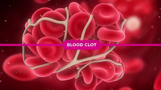 Coagulation Cascade Explained [upl. by Ylloh]