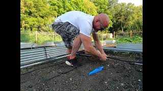 How To Connect driplines on DIG Ecofriendly Irrigation System  Food Forest Abundance Minnesota [upl. by Anhavas]