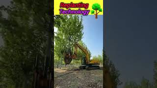 Replanting Technology 🔥technology ytshorts shorts facts plants trees [upl. by Rabin836]