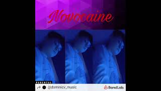 DominicHorror  Novocaine Official Audio [upl. by Gelb220]