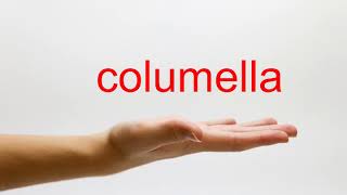 How to Pronounce columella  American English [upl. by Eyanaj928]