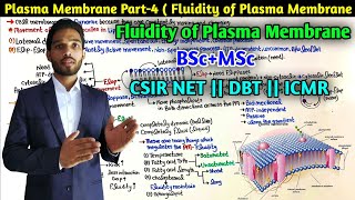 Fluidity in Plasma Membrane  Plasma Membrane Part4  BSc  MSc  DBT  ICMR  CSIR NET Exam [upl. by Luemas]