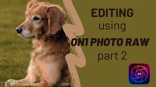 Mastering ON1 Photo Raw Boost Your Editing Workflow  Part 2 [upl. by Elsie]