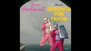 Senorita Por Favor Remix  James Hardiment [upl. by Anoit]