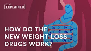 How do the new weight loss drugs work [upl. by Jedthus]