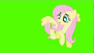 Fluttershy Fly  Green Screen Ponies [upl. by Suqram]