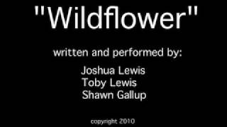 Wildflower Triathlon Song [upl. by September]