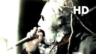 Slipknot  Surfacing Official Music Video HD [upl. by Kemme197]