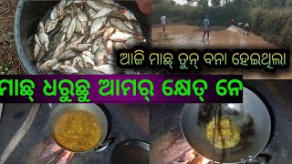 macha tarkari  macha tarkari odia  fish curry  machli ki sabji [upl. by Burrell304]