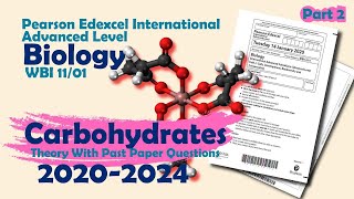 Carbohydrates Part 2 Theory with Past paper Review  Pearson Edexcel Inter A Level Biology [upl. by Tsepmet]