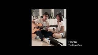 bloom  the paper kites cover [upl. by Akemihs114]