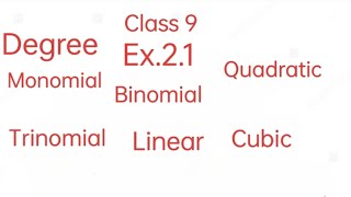 Polynomial Ex 21 Class 9 [upl. by Madanhoj]