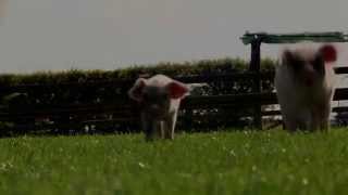 Countryfile  A Celebration of the Seasons full Trailer [upl. by Zilvia]