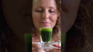 Amazing Benefits Of Spirulina [upl. by Nwonknu775]