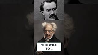 Nietzsche Vs Schopenhauer  Whos Right In This Manner [upl. by Faustine]