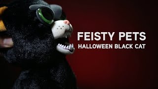 Feisty Pets  Halloween Black Cat From ThinkGeek [upl. by Aterg]