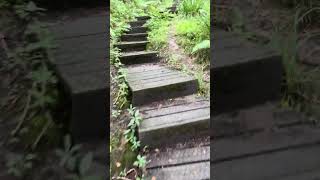 600 steps  Bowers Brook Shropshire Fitness challenge 1 😰 [upl. by Ittam423]