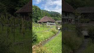 Swiss village at Ballenberg Open Air Museum [upl. by Tati]