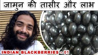 जामुन की तासीर और लाभ  INDIAN BLACKBERRIES AYURVEDIC HEALTH BENEFITS BY NITYANANDAM SHREE [upl. by Nertie]