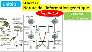 Nature de linformation génétique svt 2 bac svt biof شرح بالداريجة [upl. by Gulick]