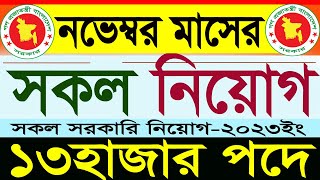 ১৩হাজার পদে নভেম্বর মাসের সকল সরকারি নিয়োগ 2023সরকারি চাকরির নিয়োগgovernment jobSR Job Life [upl. by Einna500]