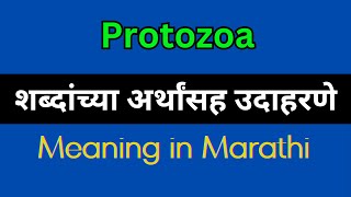 Protozoa Meaning In Marathi  Protozoa explained in Marathi [upl. by Oznole]