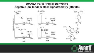 DMABA Derivatization Aminophospholipid [upl. by Llerrit]