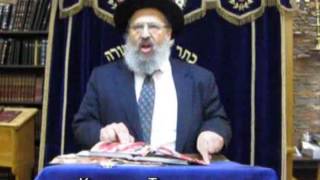 43A MatotMasei  Rabbi Eliezer Breitowitz at JEP Numbers 30023613 BaMidbar  Playtime 5836 [upl. by Barfuss848]