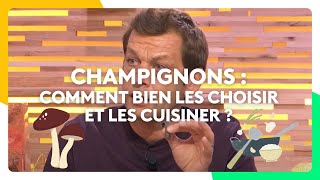 Champignons  comment bien les choisir et les cuisiner  Laurent Mariotte [upl. by Aguayo]