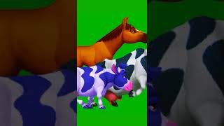 3D Stampede Green Screen  Janwar Crossover Janwar Running greenscreen animalsounds zooanimals [upl. by Lusty]