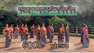 New Tibetan gorshey 2022 ༼ གཡུ་སྦྲང་ལགས་འཚང་ཀ་ཤིག་ཤིག ༽ cover dance tibetan trending gorshey [upl. by Vial]