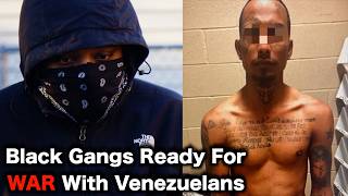 Chicago Gangs DECLARE WAR On Migrants [upl. by Einnaf]