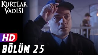 Kurtlar Vadisi  25Bölüm  FULL HD YENİ [upl. by Atiz]