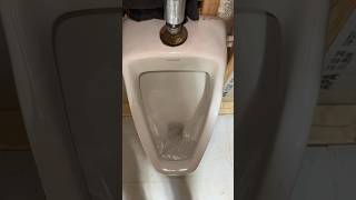 My 1995 Kohler Dexter Urinal Flushing [upl. by Dyraj453]