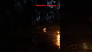 The night folk attack me arthurmorgan rdr2 nightfolkrdr2 [upl. by Ross]