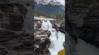 Athabasca Falls Jasper Alberta trending canada travel​⁠ KarikkuFresh KLBROBijuRithvik1 [upl. by Isolda897]