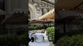 you MUST try this PARIS RESTAURANT paris parisfrance paristravel shorts [upl. by Groome874]